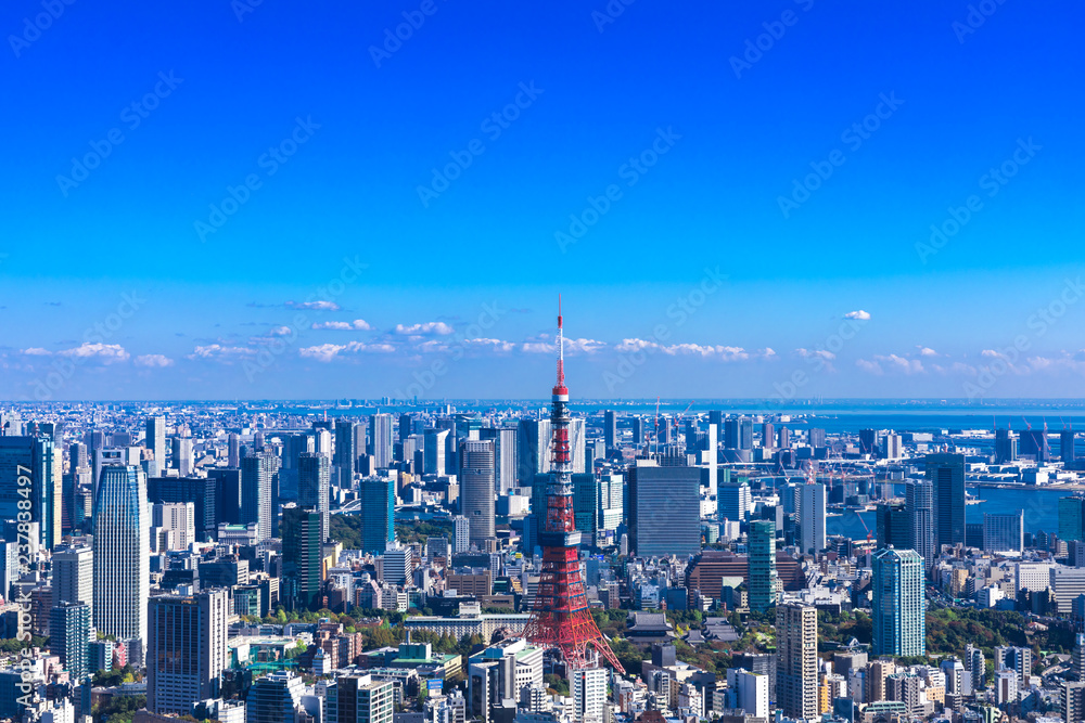 (東京都ｰ都市風景)展望台から見る東京湾側風景３