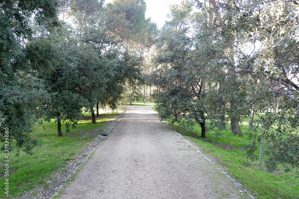 Parque Quinta de los Molinos (Madrid)