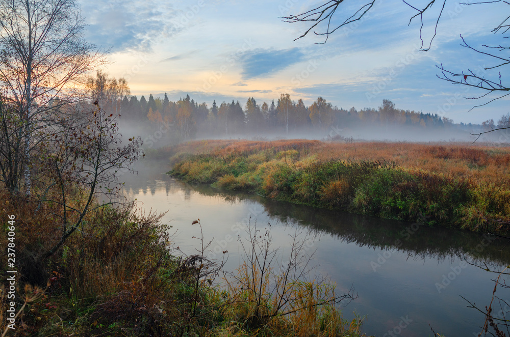 Fototapeta premium Foggy autumn landscape with small forest river.