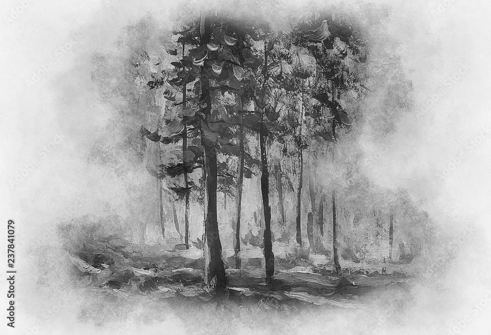 Digital pastel landscape drawing painting background. Trees in the forest  monochrome black and white sketch on paper. Mixed media illustration  nature. Stock Illustration | Adobe Stock