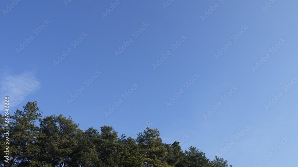 구름 구름
