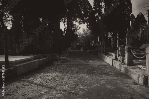 The Cemetery in Black and White