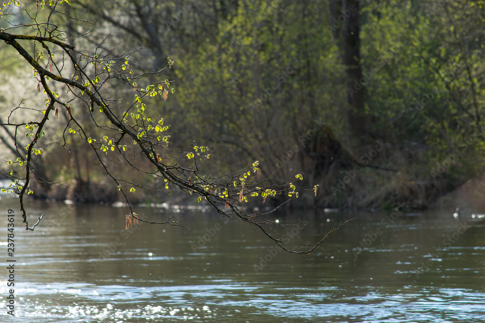 Fototapeta premium Flusslandschaft