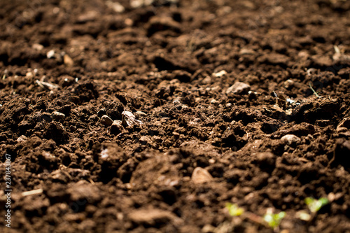 Plowed soil in the field texture