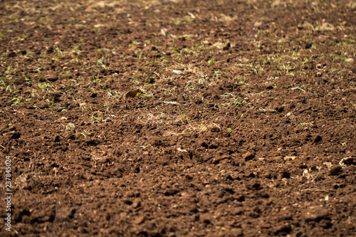 Plowed field soil in the field texture