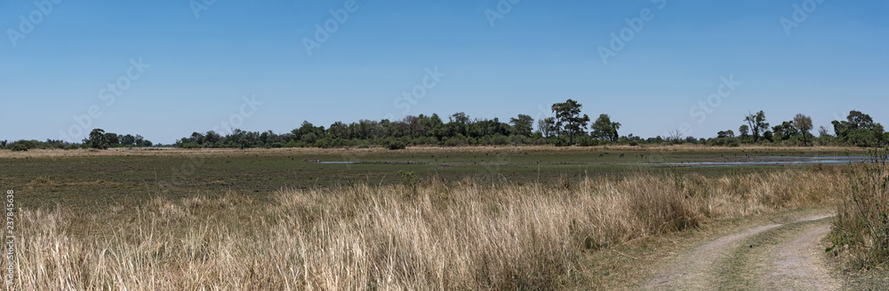 Landscape of the dried up Okavango Delta, Moremi Game Reserve in Botswana