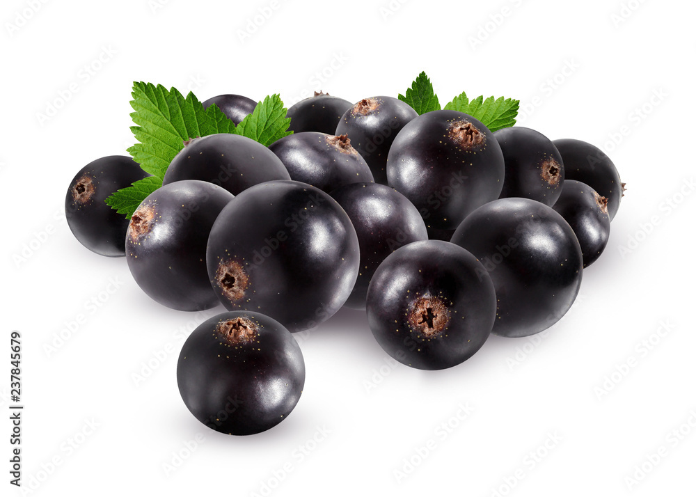 Black currant isolated on white background. Black currant isolated on white background.