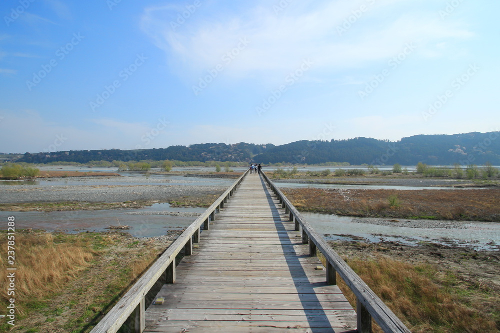 世界一長い木造歩道橋　蓬莱橋　静岡県島田市　日本