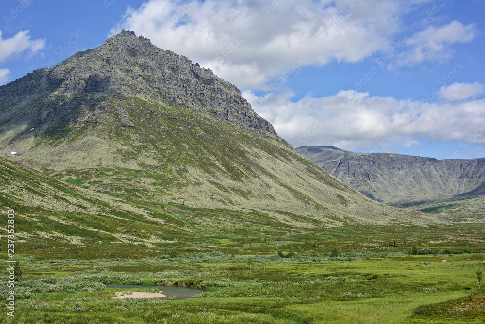 Mount Lzhemanaraga (False Manaraga) and valley of Stream Kapkan-Vozh in summer day. Nature landscape. Subarctic Ural, Komi, Russia.