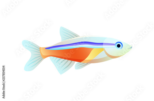 Bright Neon Tetra Fish Isolated on White Poster