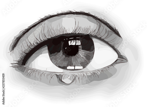 Eye and Tears