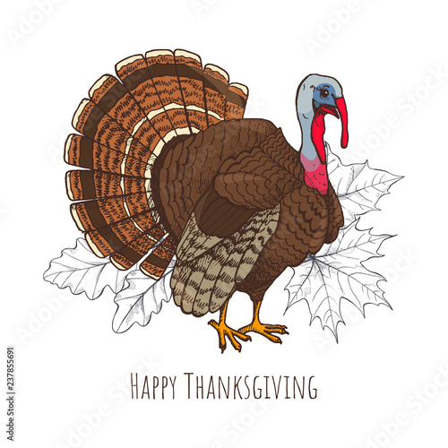 Happy Thanksgiving Day Turkey Poster Text Vector