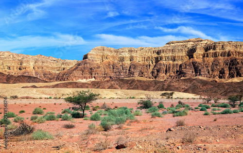 Stony desert and rocks panoramic landscape. Timna geological national park. Israel