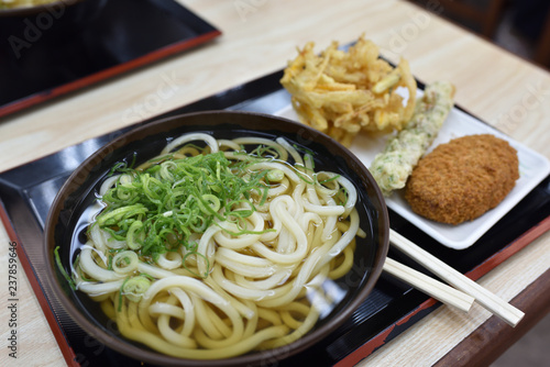 日本の美味しいうどん