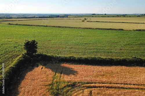 English Countryside in summer photo