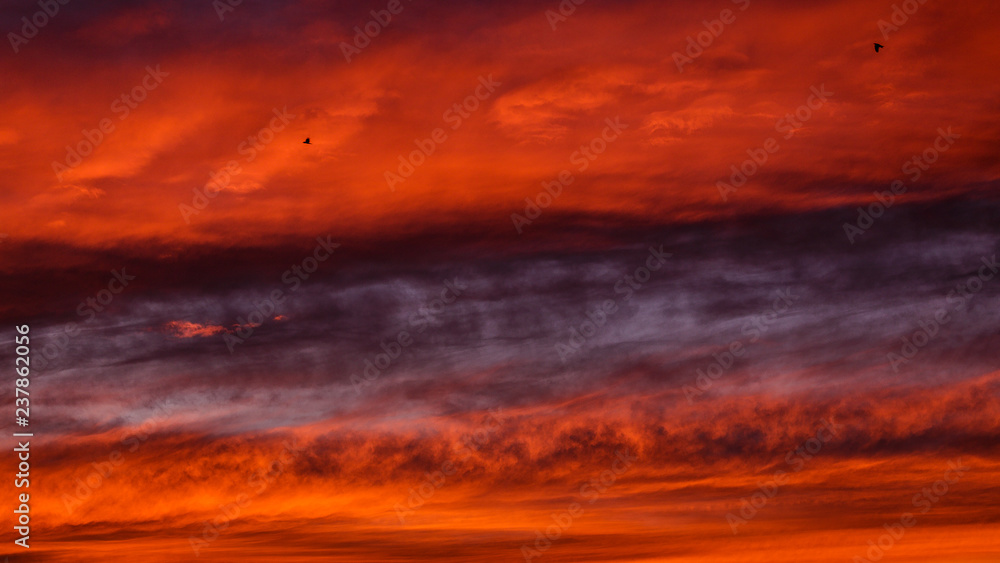 Epic, virbant orange and blue sunset with cloud bands and two small birds.