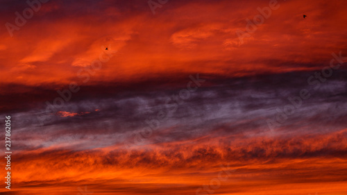 Epic, virbant orange and blue sunset with cloud bands and two small birds.