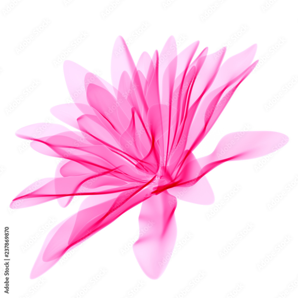 Fototapeta premium Light pink flower isolated on white, natural spring beauty design element, 3d rendering