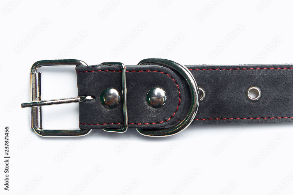 Adjustable dog collar on white background. Adjustable dog collar on white background.