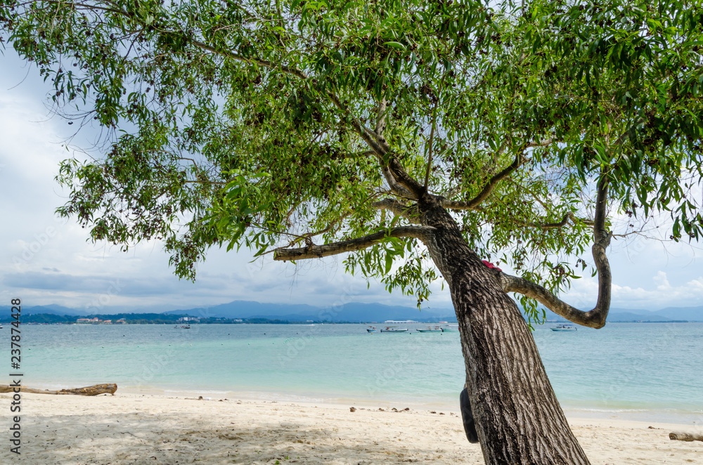 Tropical Landscapes From The Sea Tropical Landscapes From The Sea