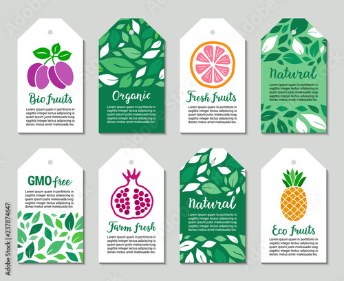 Colorful fruit tags with pomegranate, pineapple, plum, leaves, grapefruit. Bio, eco fruits, organic, natural, farm fresh lettering text inscription. Plant-based concept. Vector eps 10 label set