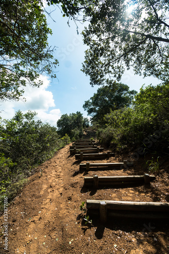 sch  ner Treppensteig zu einem Aussichtspunkt - wandern in S  dafrika bei St. Lucia