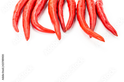 hot chili peppers long pods base decoration design up frame on isolated white background design menu