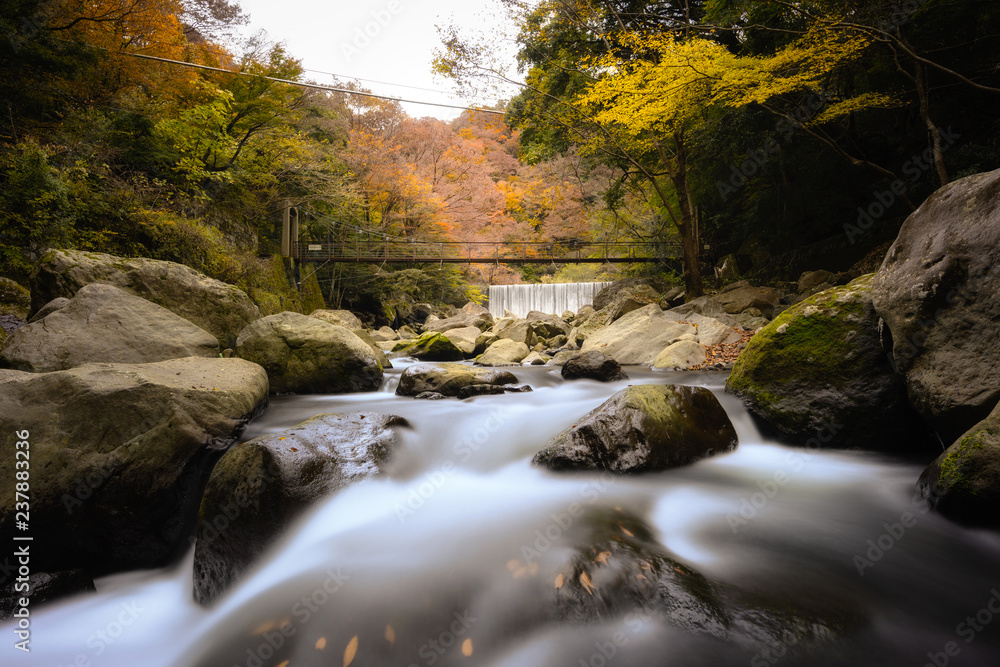 Fototapeta premium 箱根 堂ヶ島渓谷遊歩道の紅葉 