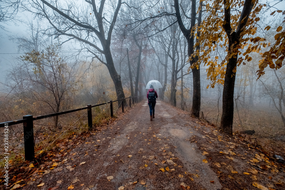 Autumn day woman walking with umbrella in mountain