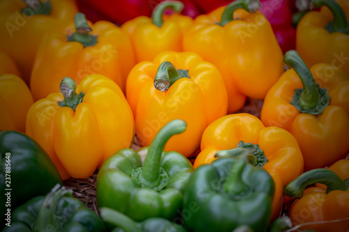 The fresh bell peppers on the husk or hay in good natural light. 