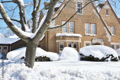Wallpaper Mural Home after Snowfall Torontodigital.ca