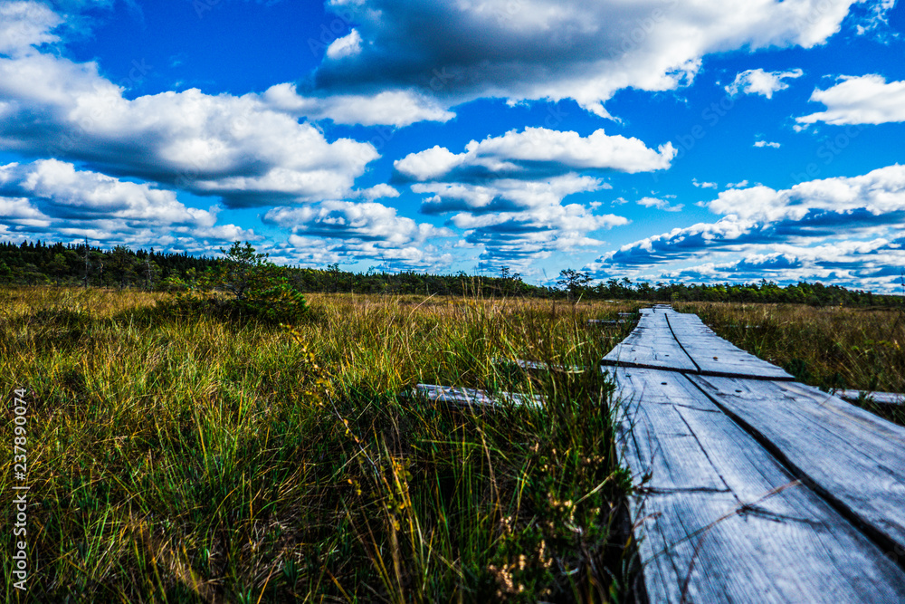 Fototapeta premium Nationalpark Finnland