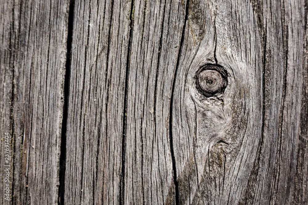 old dry tree trunk stomp texture with bark old dry tree trunk stomp texture with bark