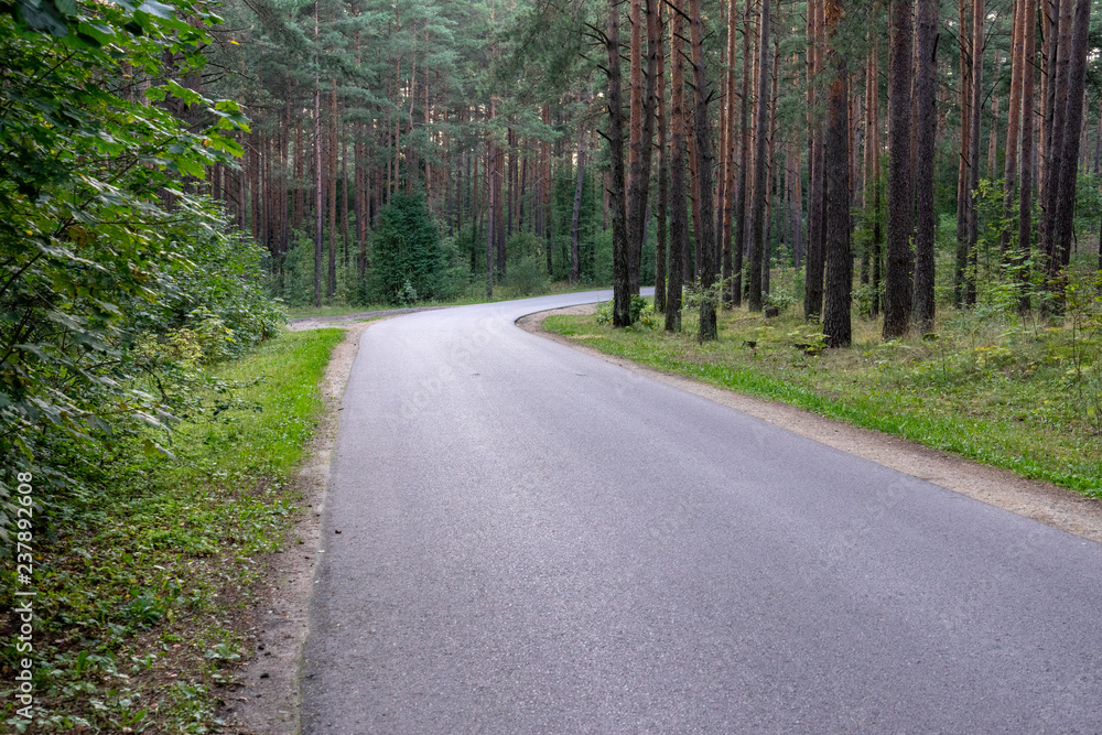 asphalt wavy road in forest in summer asphalt wavy road in forest in summer