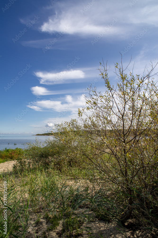 Obraz premium empty sea beach with sand dunes