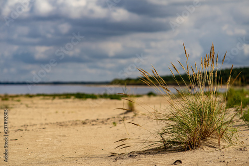 Fototapeta Naklejka Na Ścianę i Meble -  empty sea beach with sand dunes