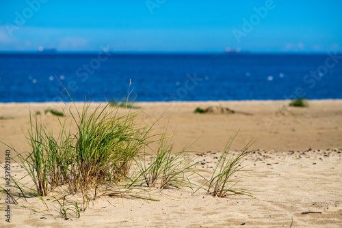 Fototapeta Naklejka Na Ścianę i Meble -  empty sea beach with sand dunes