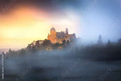 Fairytale in a foggy castle, Palace with fog