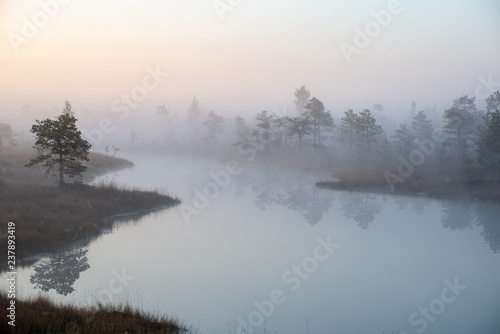 sunrise with mist in swamp bog area © Martins Vanags