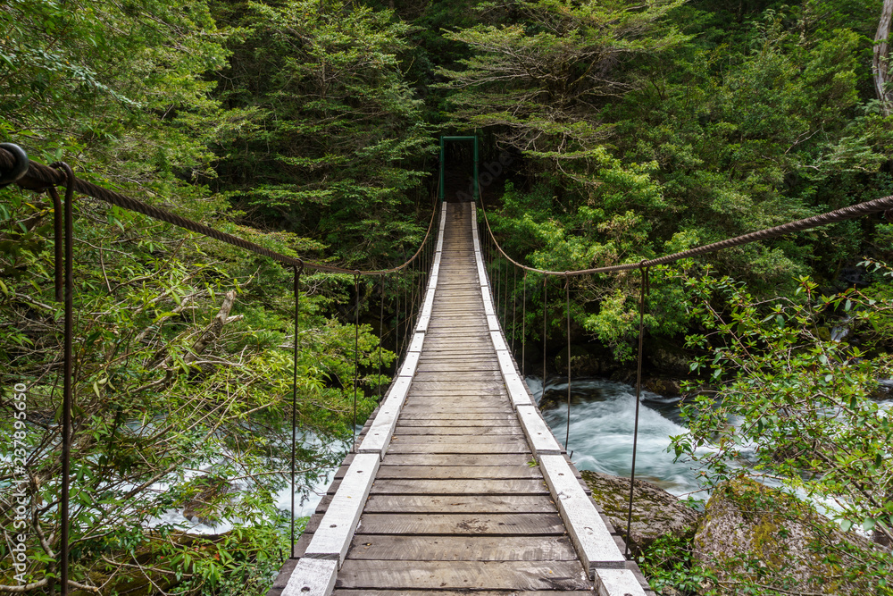 Fototapeta premium Suspension wooden footbridge in Nahuel Huapi National Park, Patagonia, Argentina