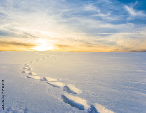 winter snowbound plain at the sunset © Yuriy Kulik