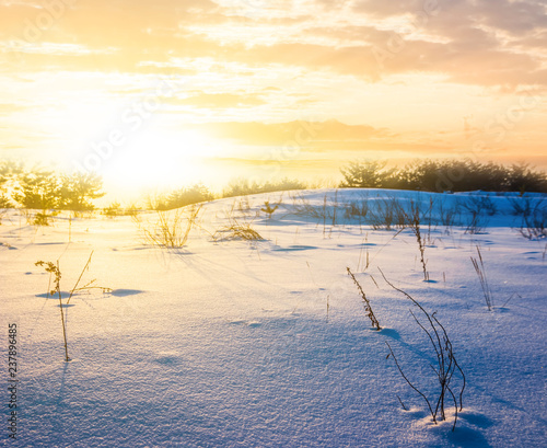 winter field in a snow at the sunset