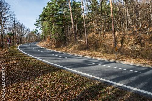 Rechtskurve auf Geschriebenstein Bergstrasse im Burgenland (A)