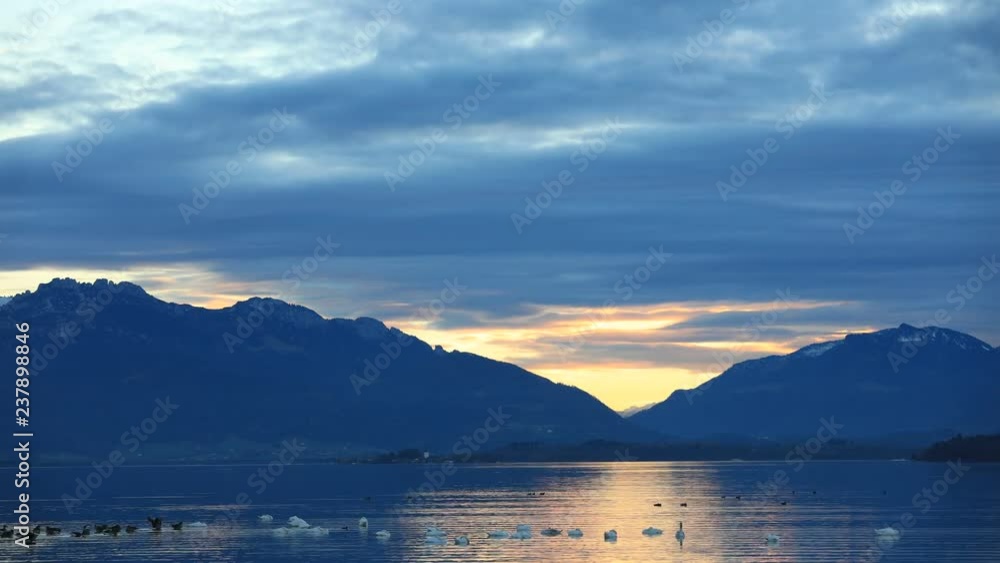 idylic sunset at lake Chiemsee, Gstadt, Bavaria, with ducks and swan, Mountain Kampenwand in background, time lapse idylic sunset at lake Chiemsee, Gstadt, Bavaria, with ducks and swan, Mountain Kampenwand in background, time lapse