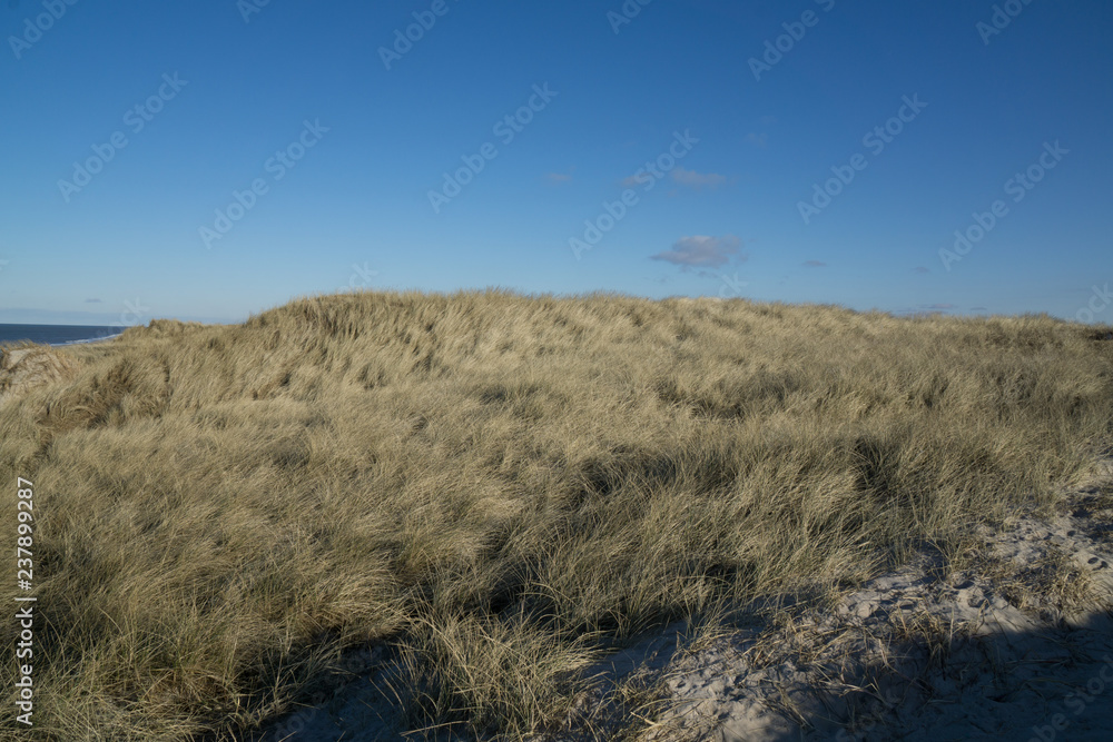 Dünenlandschaft an dänischer Küste vor blauem Himmel