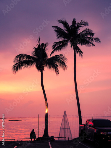 silhouette of coconut trees at sunset