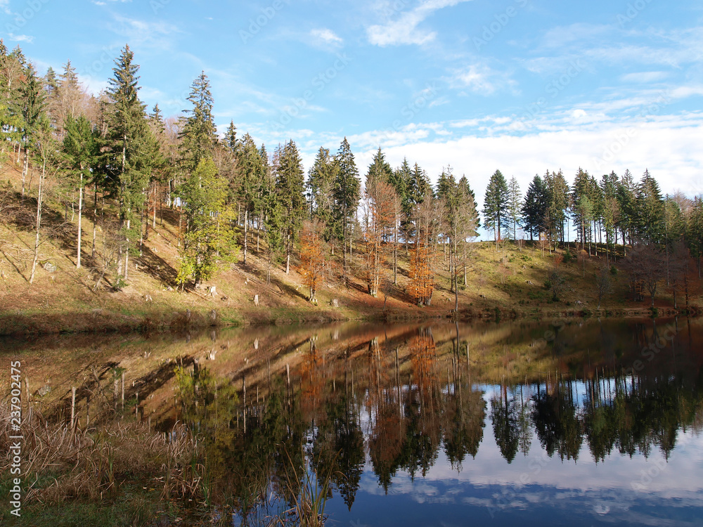Blick auf den Nonnenmattweiher See im Herbst Südschwarzwald in Baden-Württemberg.
