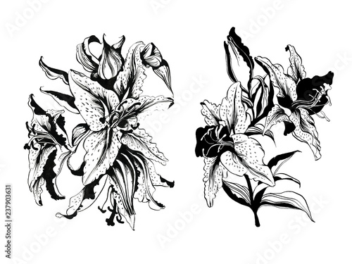 Hand drawn black and white flowers. Can be used as romantic background for invitations, greeting cards, postcards, textile design, packaging design, tatoo, web pages, prints, patterns, posters.