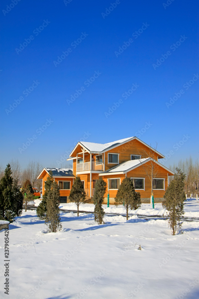 log cabin in the snow