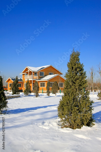 log cabin in the snow